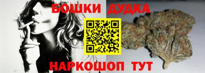 гашик Новодвинск