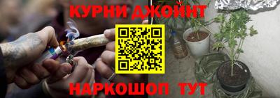 гашик Новодвинск